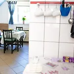 Orgonavirag Hajdúszoboszló