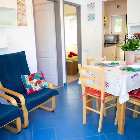 Orgonavirág Apartman *