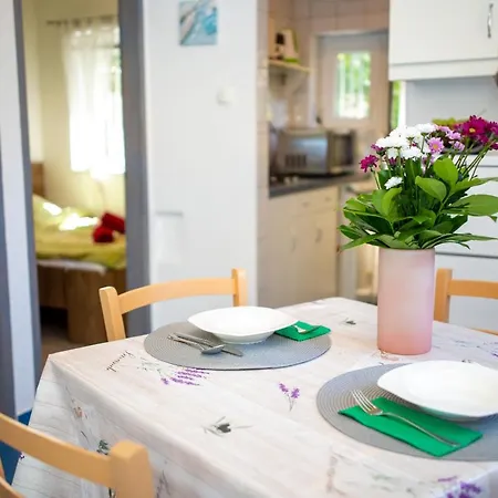 Orgonavirag Apartment Hajduszoboszlo