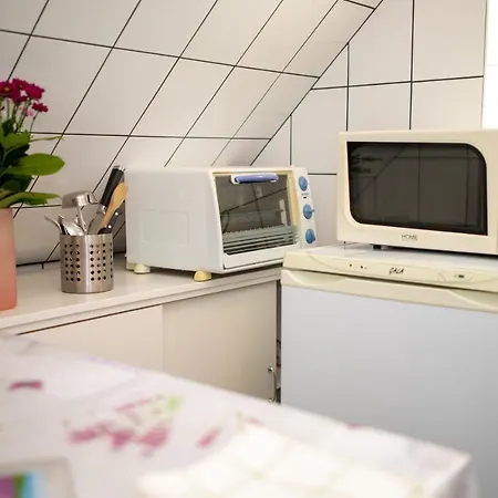 Orgonavirag * Hajdúszoboszló