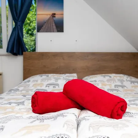 Apartment Orgonavirag