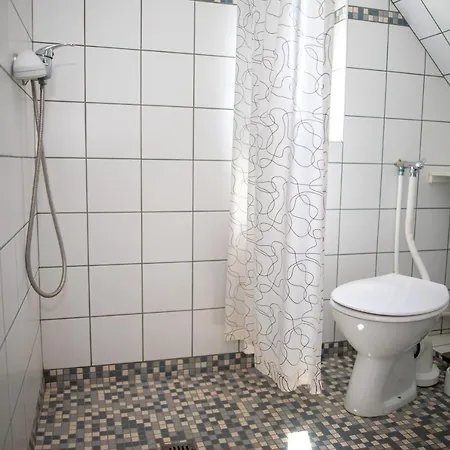 Orgonavirag Hajdúszoboszló