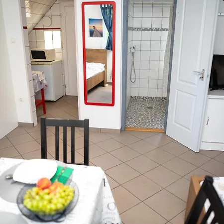 Orgonavirág Hajdúszoboszló
