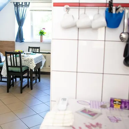 Orgonavirág Hajdúszoboszló