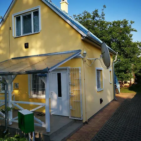 Orgonavirag Hajduszoboszlo