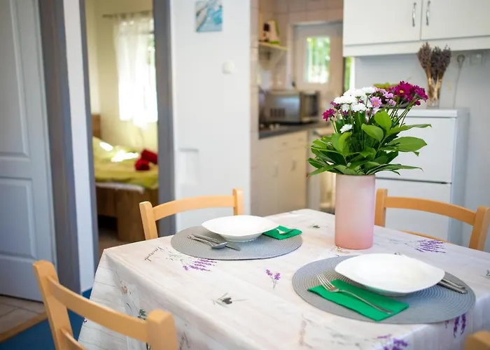 Orgonavirag Apartament Hajdúszoboszló