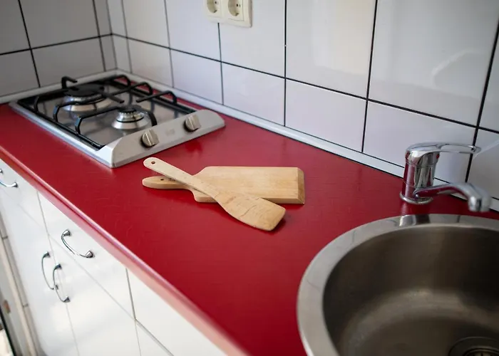 Orgonavirag Apartament