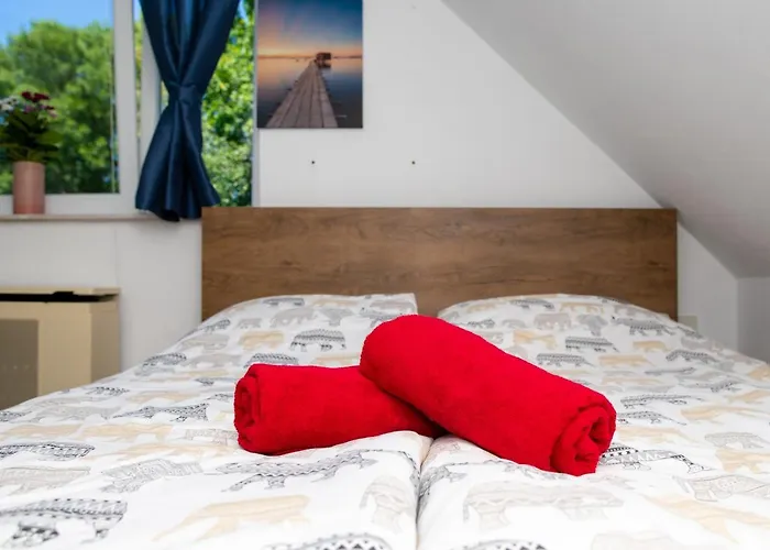 Apartament Orgonavirag