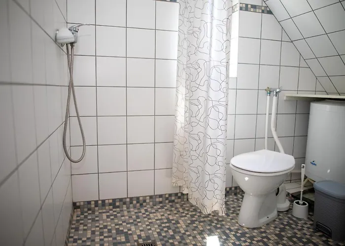 Orgonavirag Hajdúszoboszló
