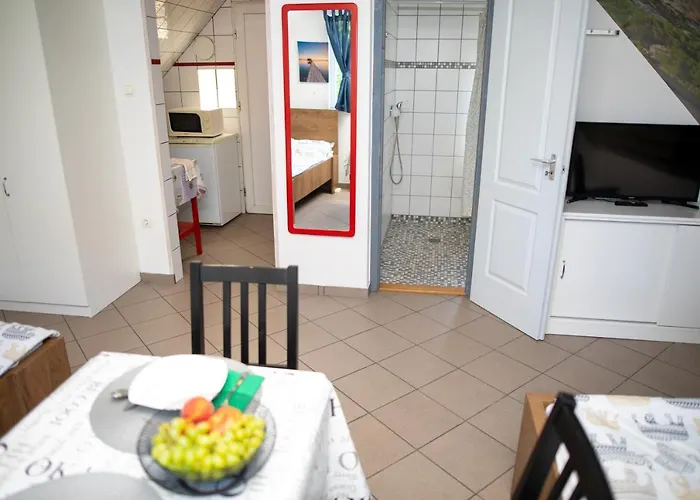 Orgonavirag Hajdúszoboszló