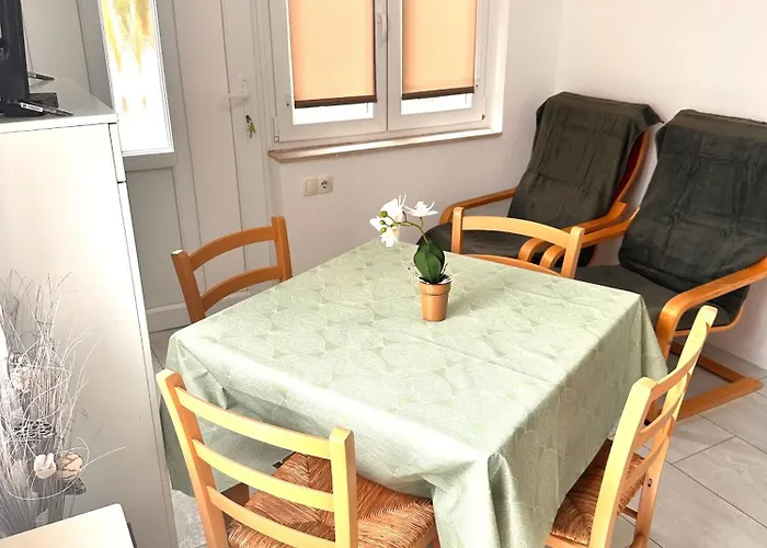 Orgonavirag Apartament
